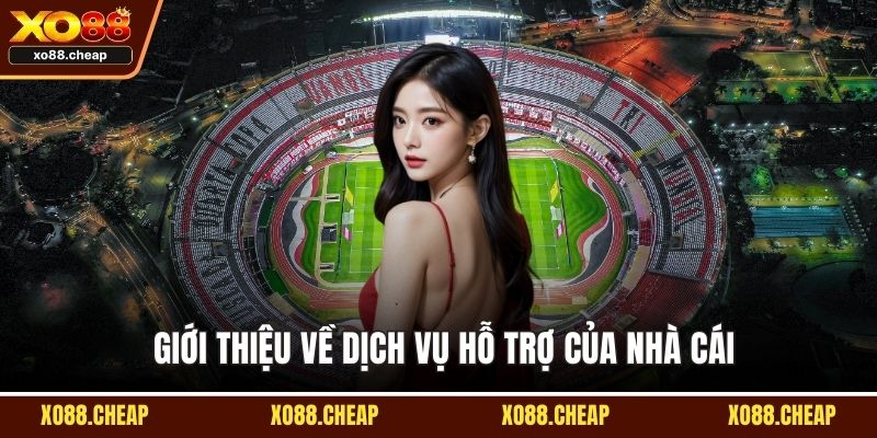 Giới thiệu về dịch vụ hỗ trợ của nhà cái
